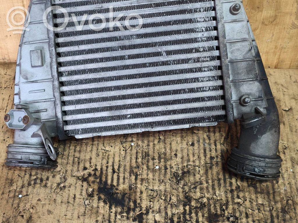 Volkswagen Phaeton Intercooler radiator 