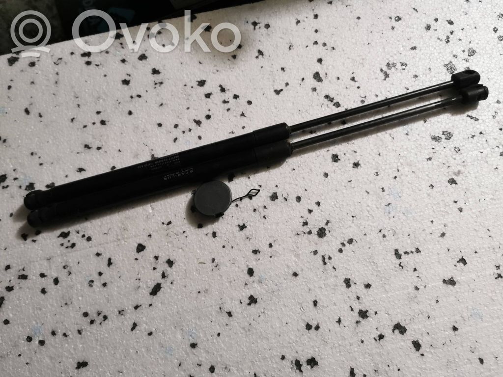 Citroen C4 II Tailgate/trunk strut/damper 