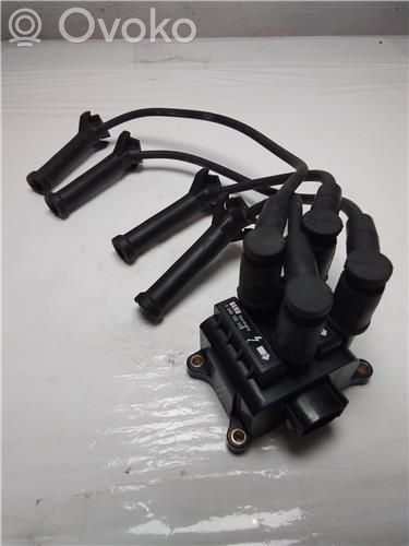 High voltage ignition coil