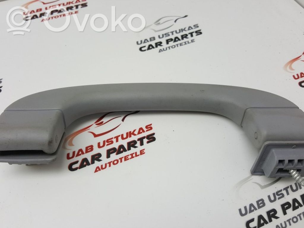 Asidero interior delantero   7033659