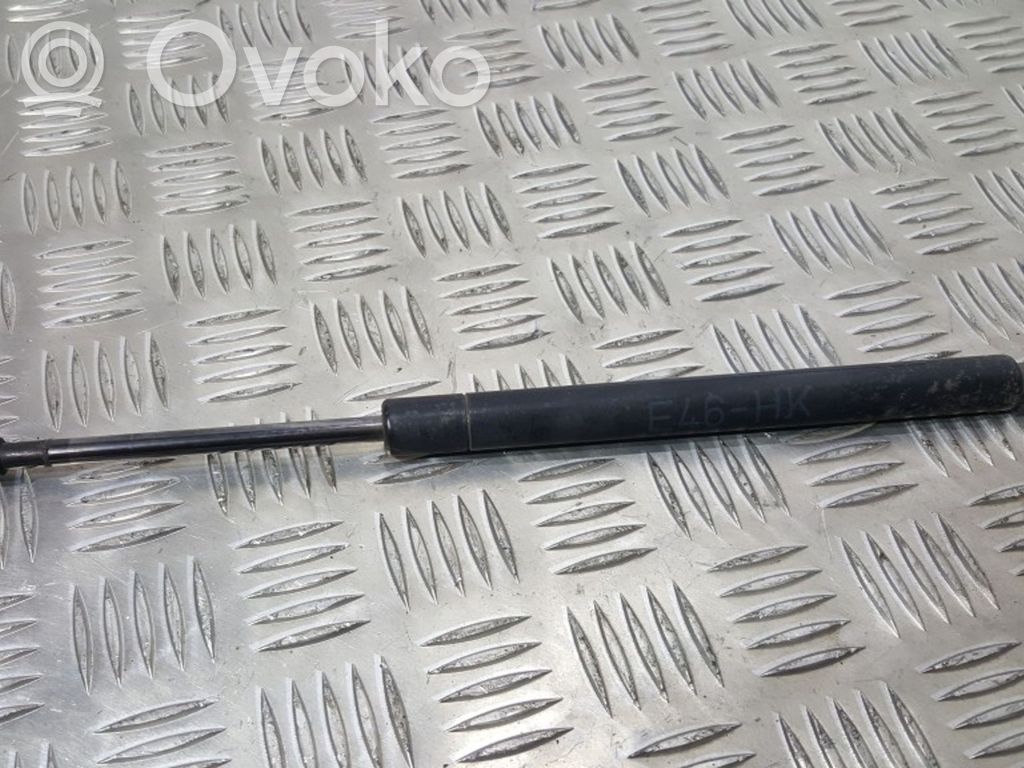 Tailgate/trunk strut/damper   8254281