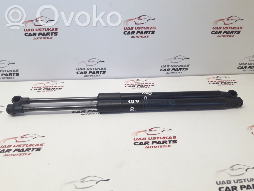 BMW 1 E81 E87 Tailgate/trunk strut/damper 
