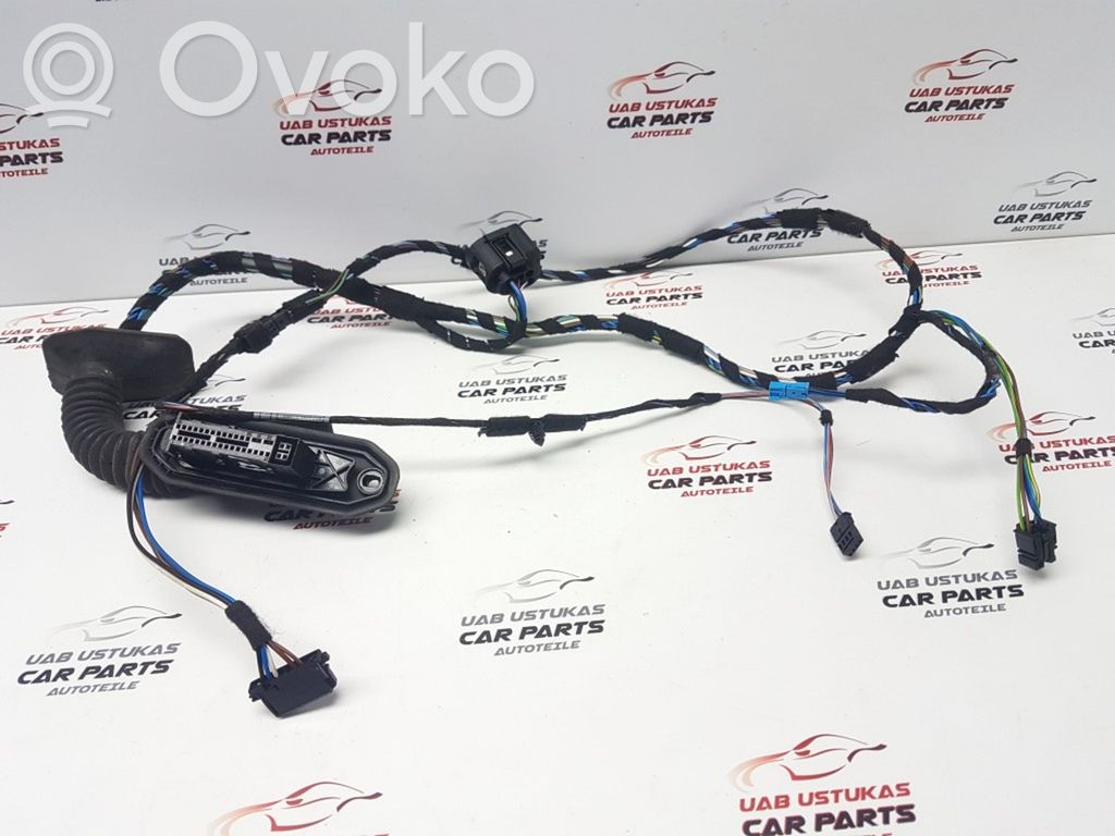 BMW 1 E81 E87 Cableado de puerta delantera 