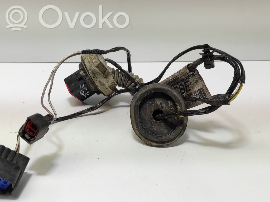 Ford Focus Cableado de puerta trasera 