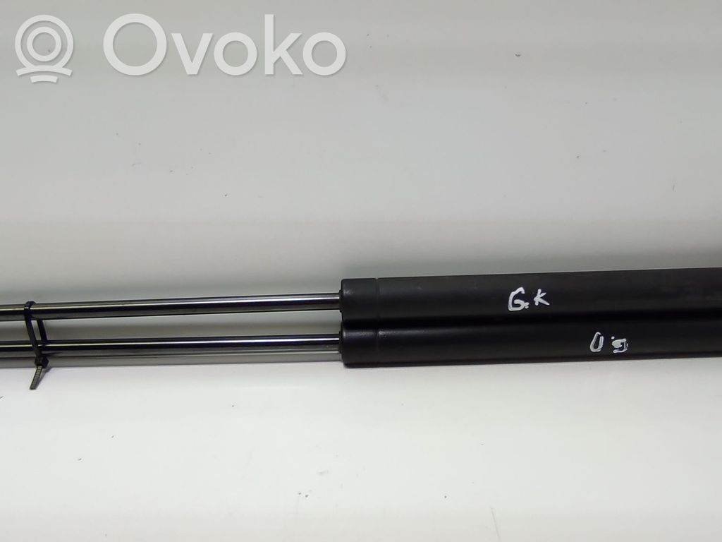 Peugeot 206 Tailgate/trunk strut/damper 