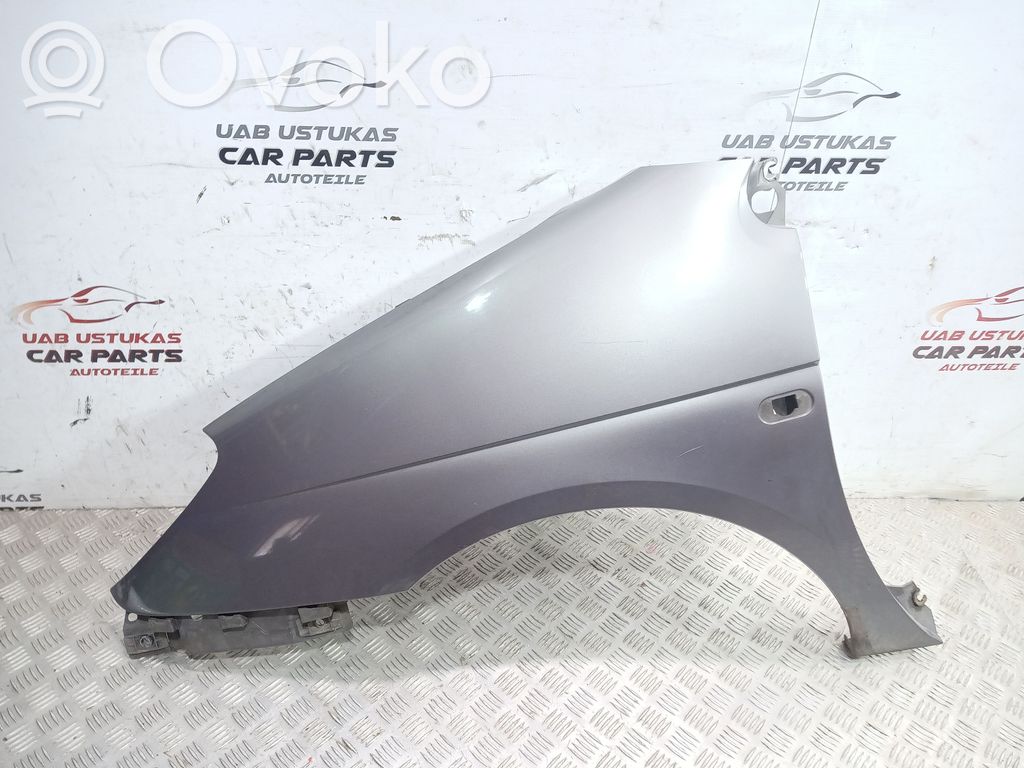 Renault Scenic I Sparnas 
