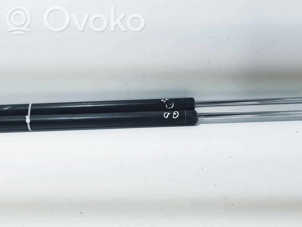 Tailgate/trunk strut/damper