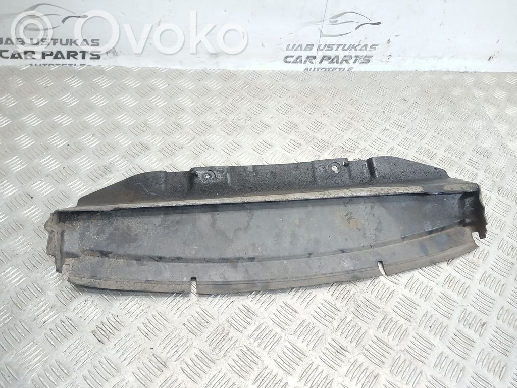 BMW 1 E81 E87 Radiatoru paneļa apakšējā daļa (televizora) 
