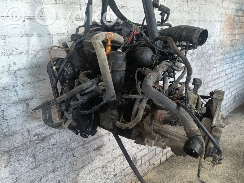 Motore