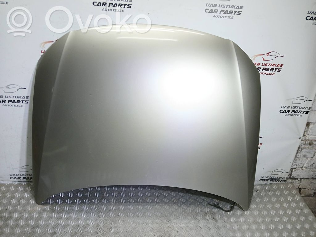 Vano motore/cofano