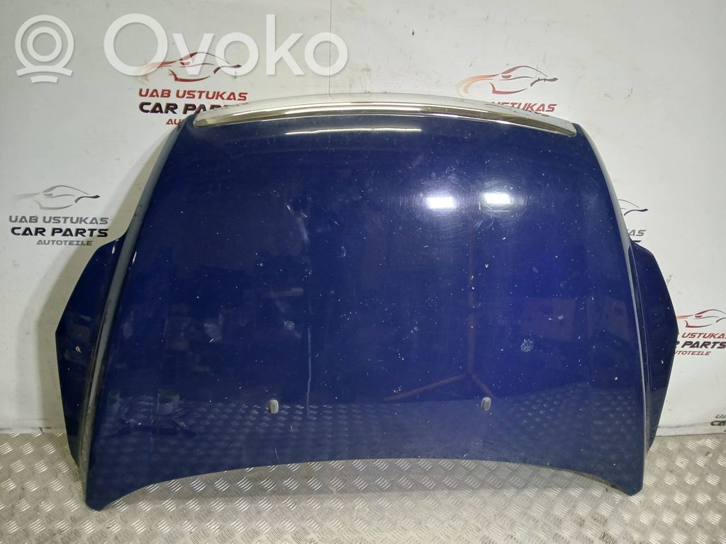 Vano motore/cofano