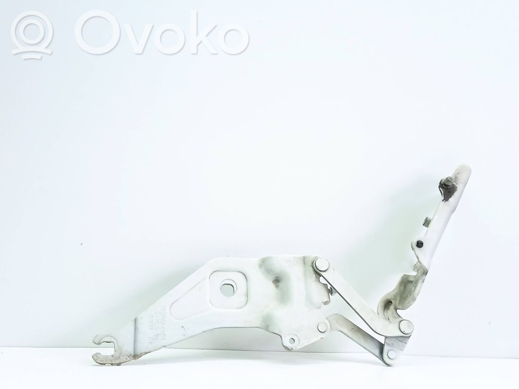 BMW X5 E70 Cerniere del vano motore/cofano 
