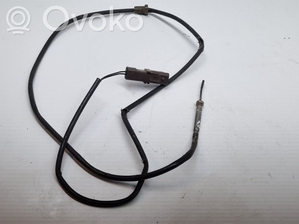 Peugeot 407 Exhaust gas temperature sensor 