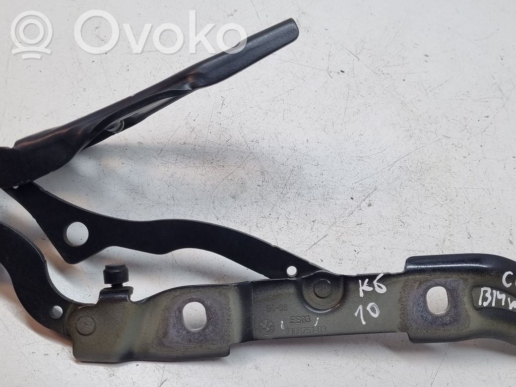 BMW 1 E81 E87 Tailgate/trunk/boot hinge 