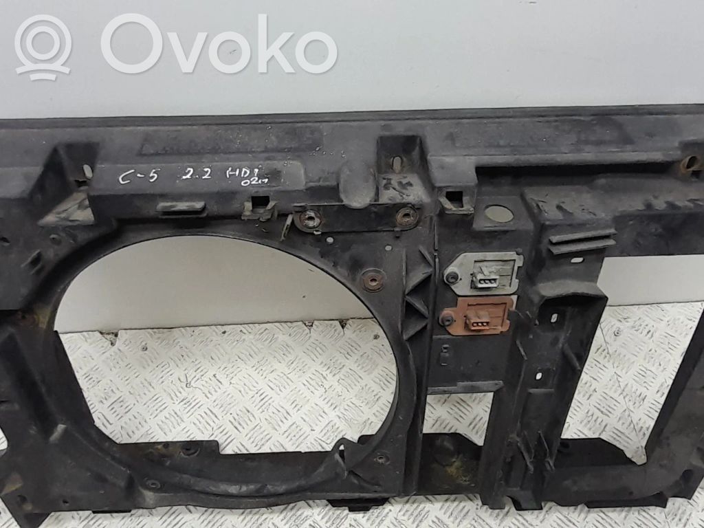 Citroen C5 Radiatoru panelis 