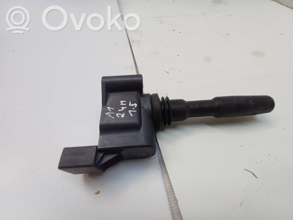 Aukštos įtampos ritė "babyna"   05E905110A,77640005,643F7