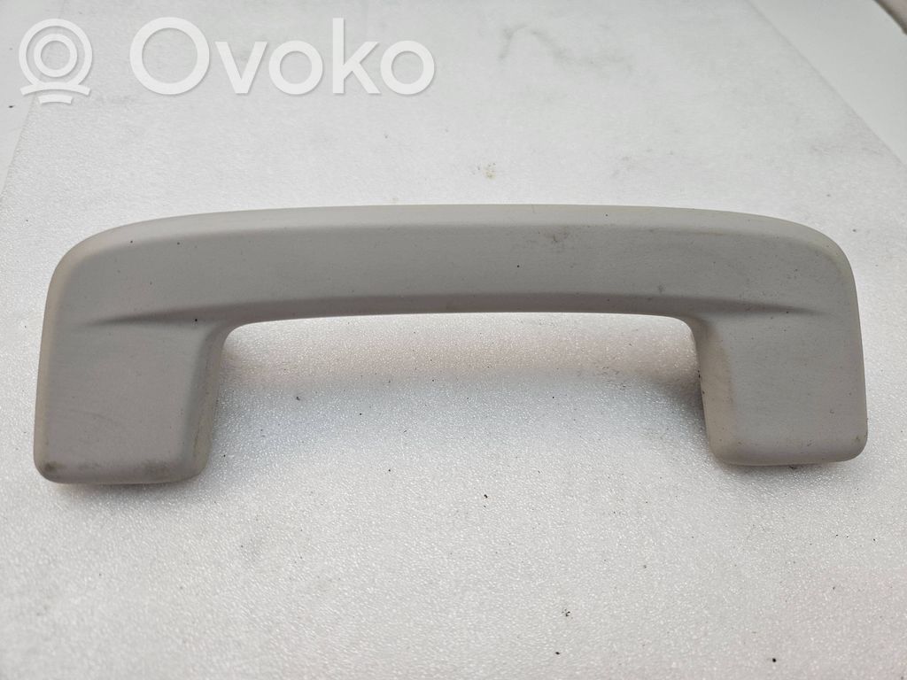 Volkswagen ID. Buzz Asidero interior delantero 