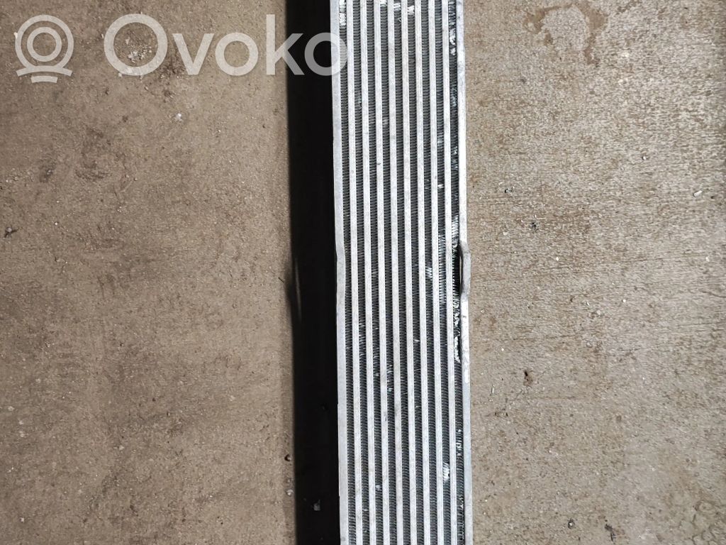 Intercooler radiator   99001059,20170109,8ML376746021