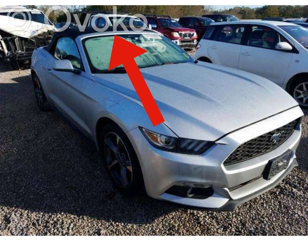 Ford Mustang VI Kita kėbulo dalis 