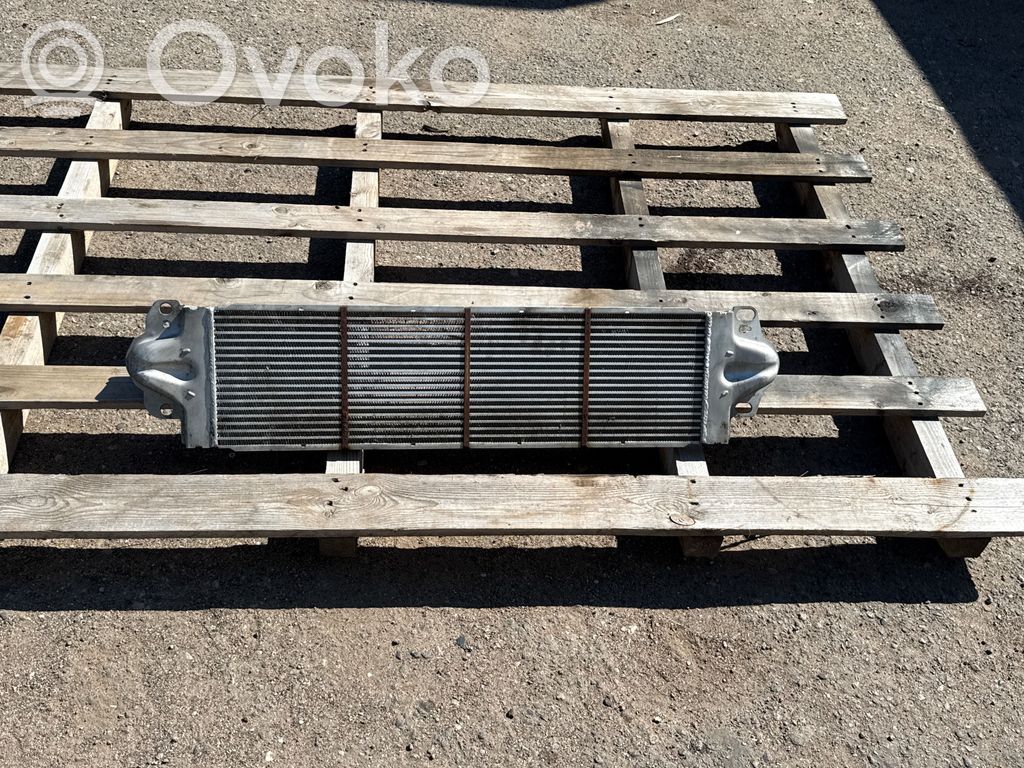 Volkswagen Multivan T5 Interkūlerio radiatorius 