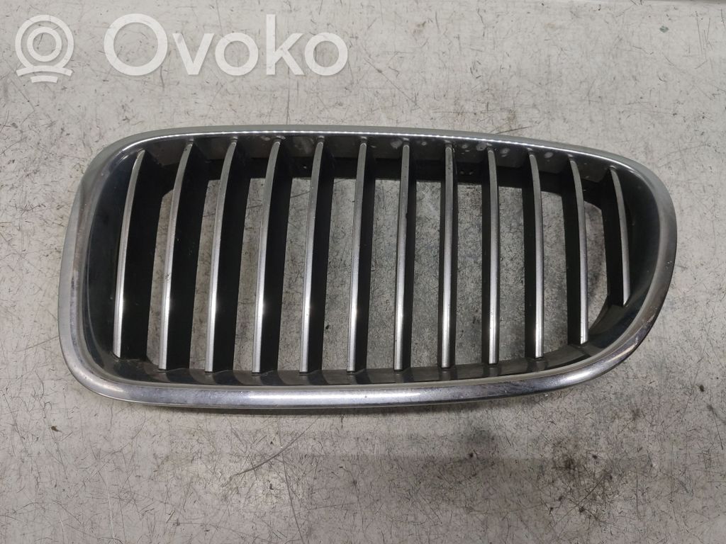 Front bumper upper radiator grill