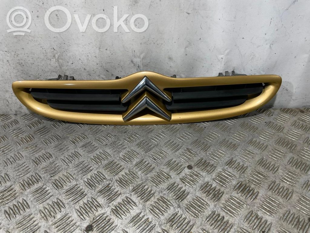 Citroen TEST Kühlergrill 