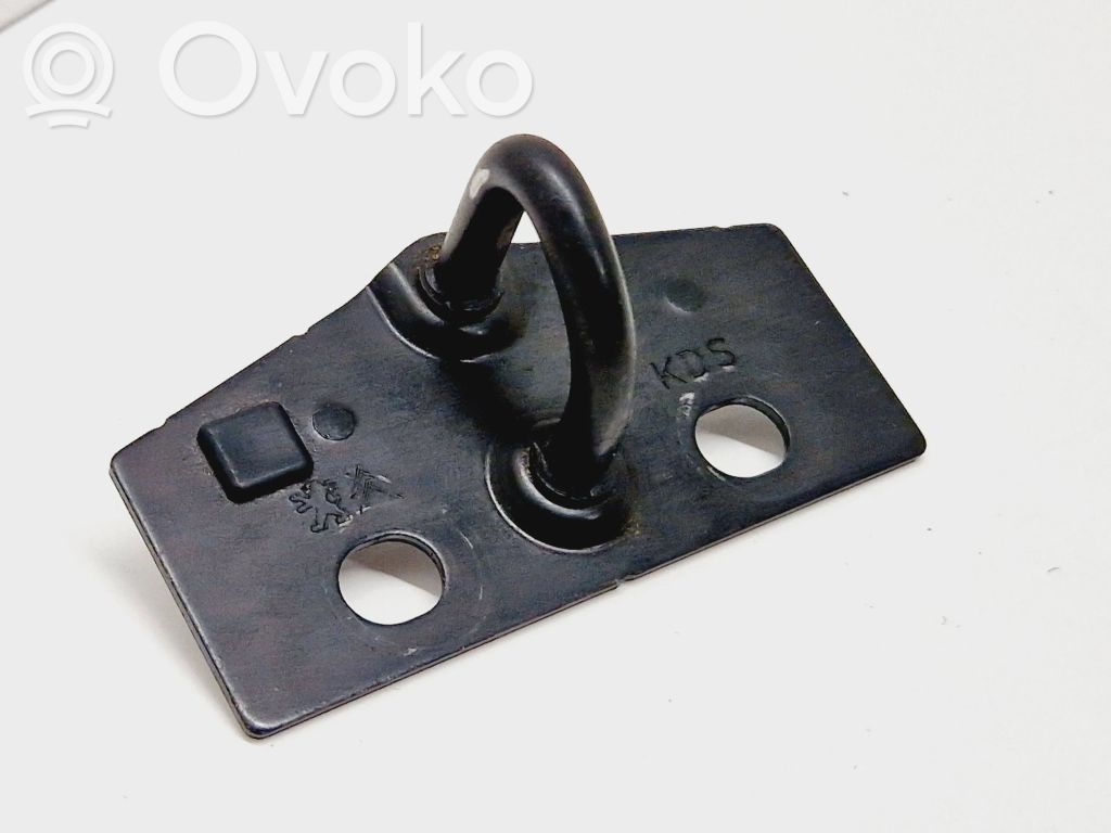 Trunk lock loop