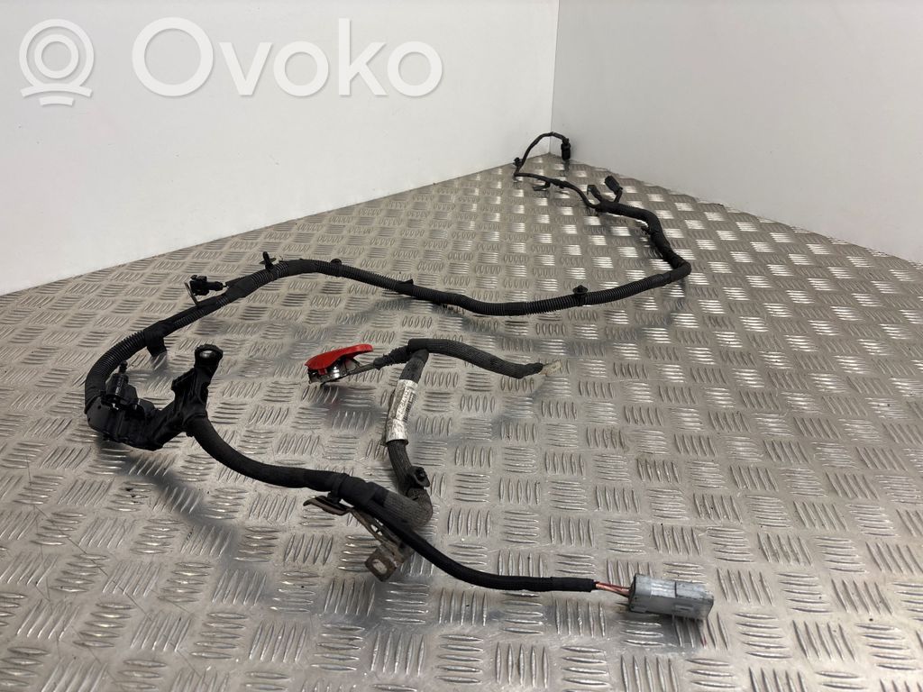 Peugeot Expert Pliusinis laidas (akumuliatoriaus) 