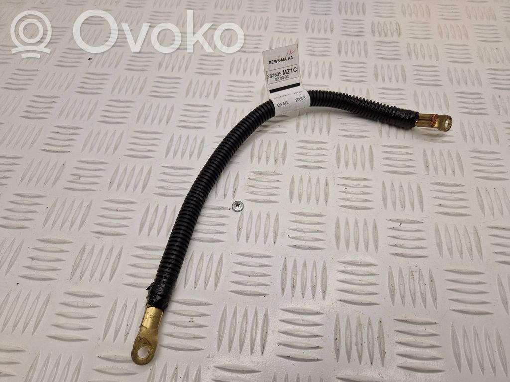 Renault Scenic E-Tech V Cable negativo de tierra (batería) 