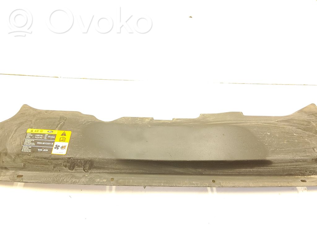 Radiator trim   4M5116613AC