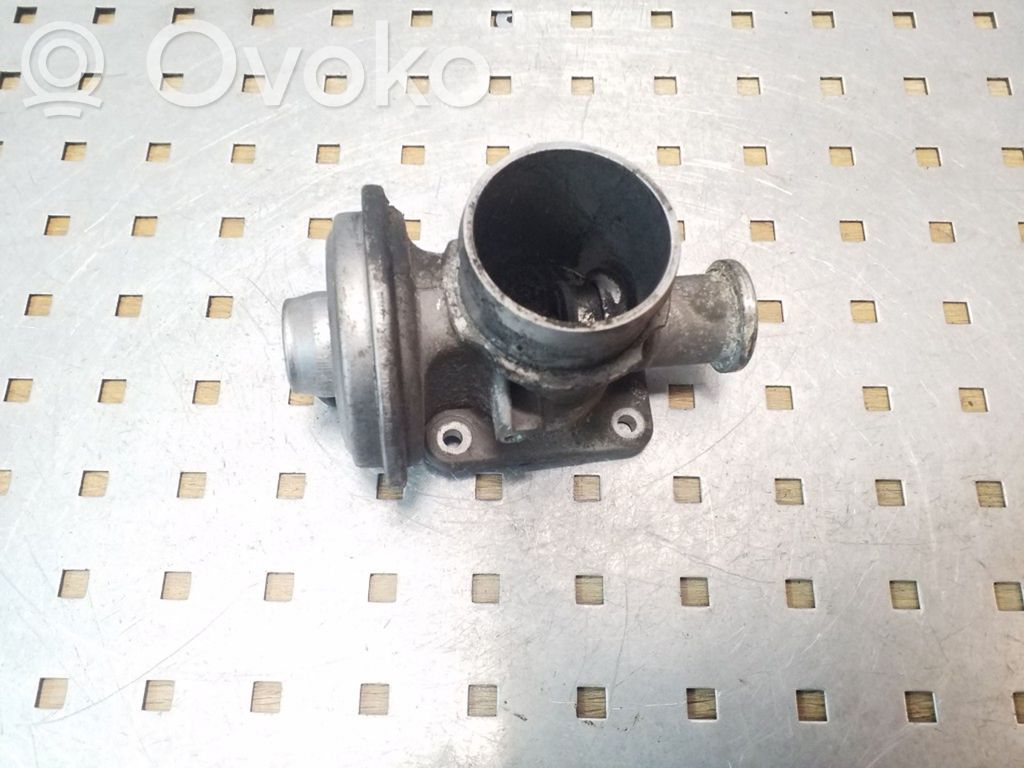 BMW 5 E39 EGR vožtuvas 
