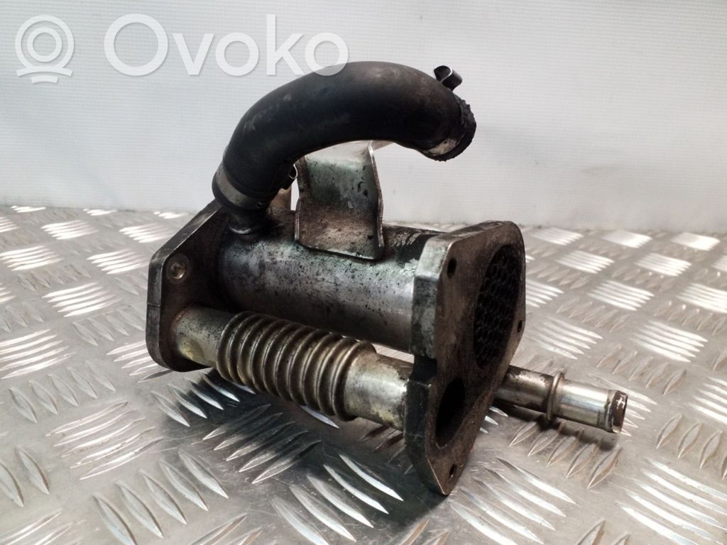 Nissan Juke I F15 EGR dzesētājs 