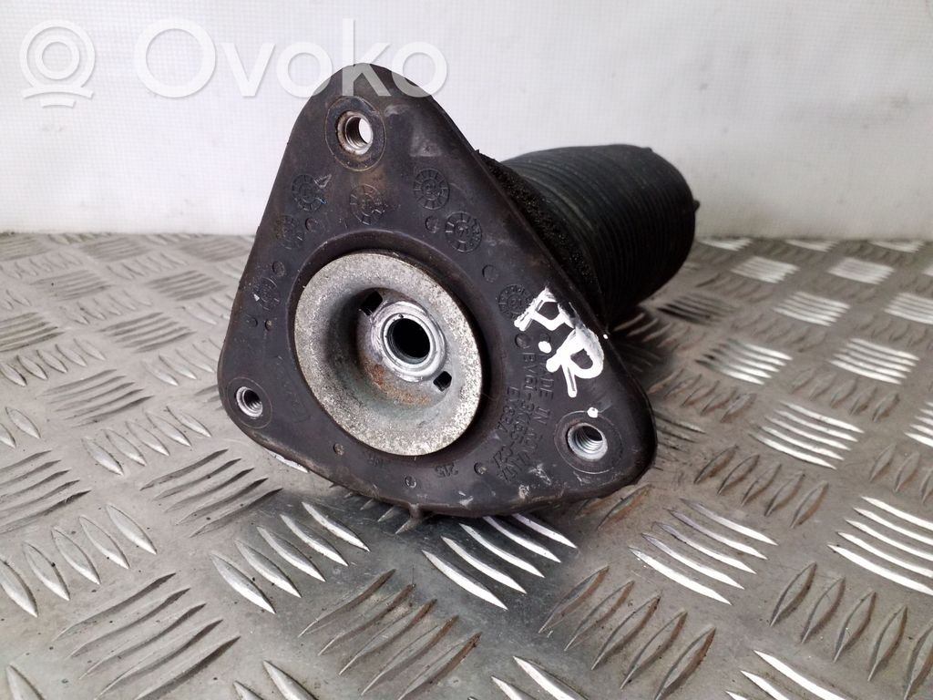 Ford Focus Atraminis guolis 