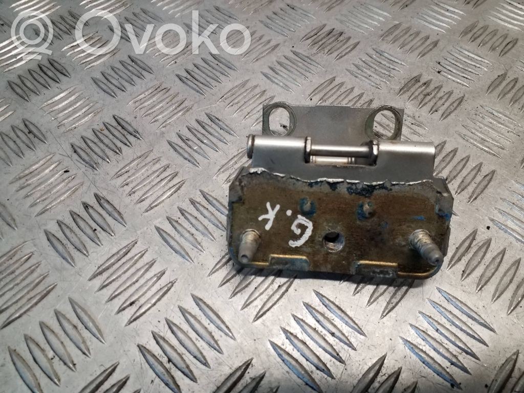 Tailgate/trunk/boot hinge