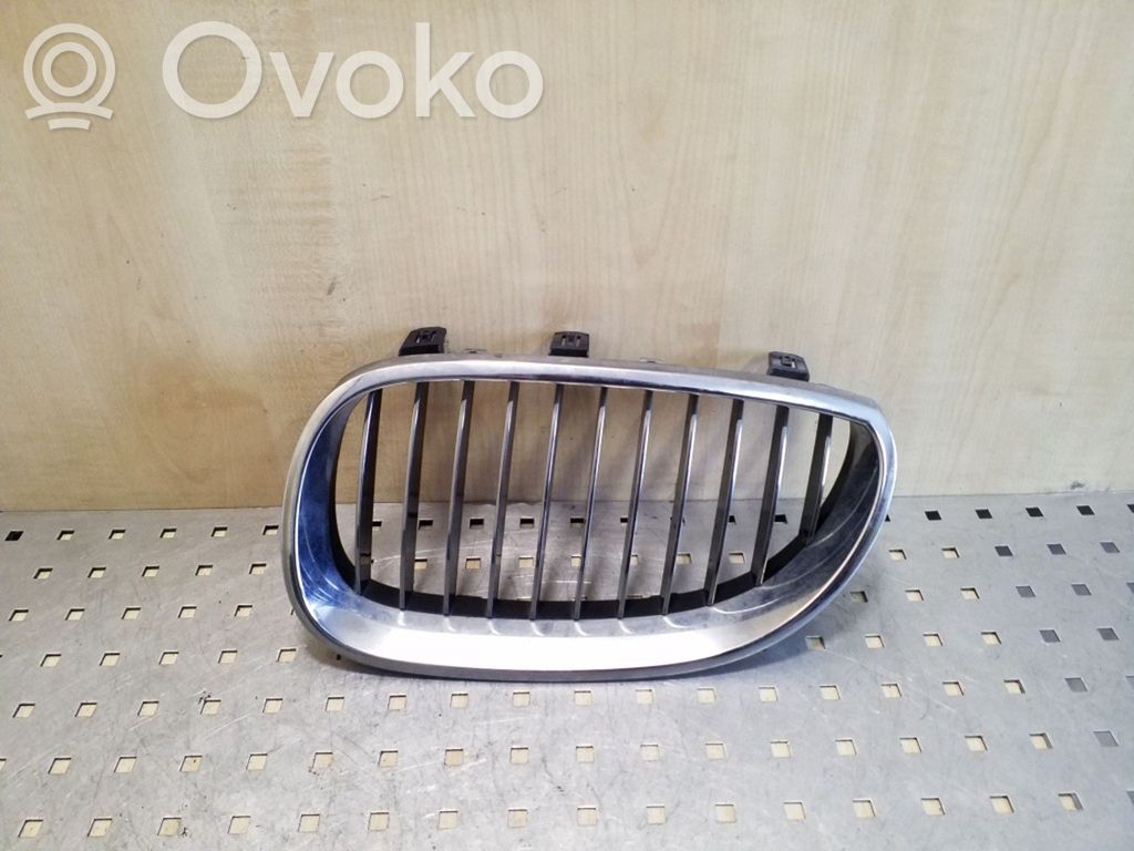Kühlergrill   51137027065
