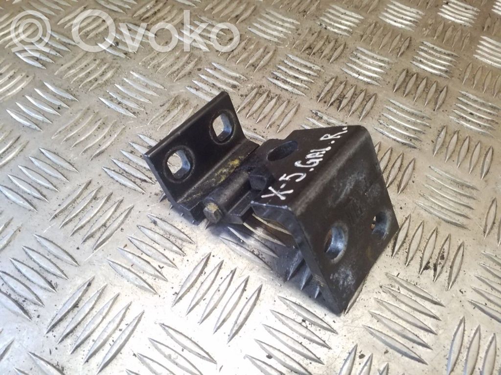 BMW X5 E53 Rear door lower hinge 