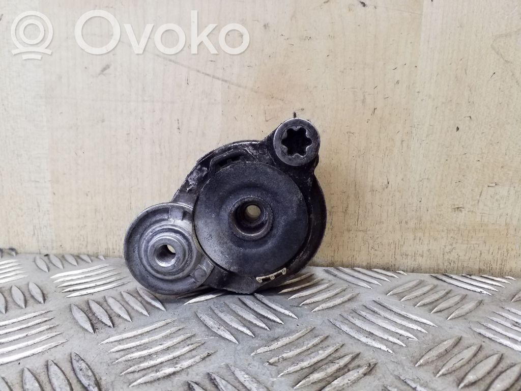 Volvo S80 Întinzător curea generator/alternator 