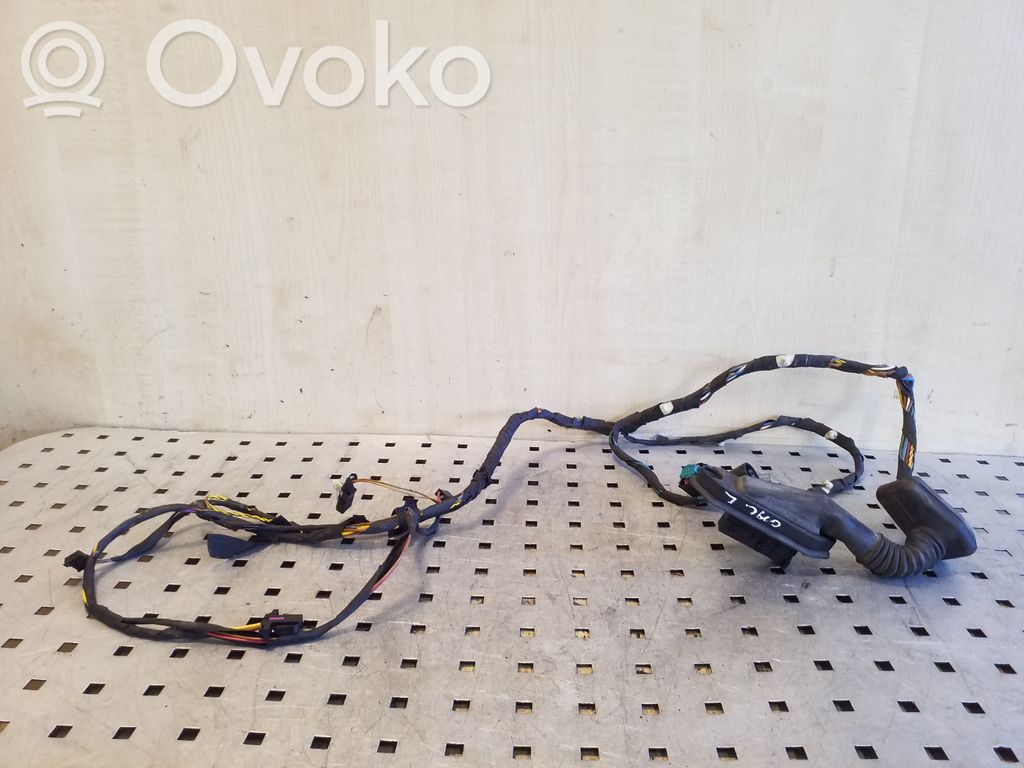 BMW X5 E53 Cableado de puerta trasera 