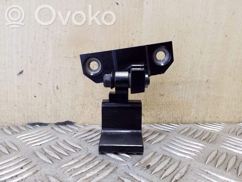BMW X6 E71 Rear door upper hinge 