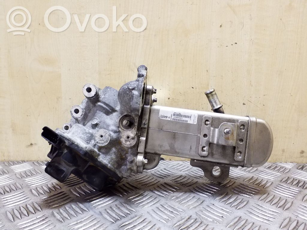Citroen C4 I Picasso Válvula EGR 