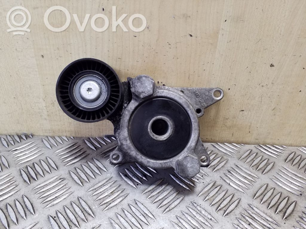 Toyota Avensis T270 Întinzător curea generator/alternator 