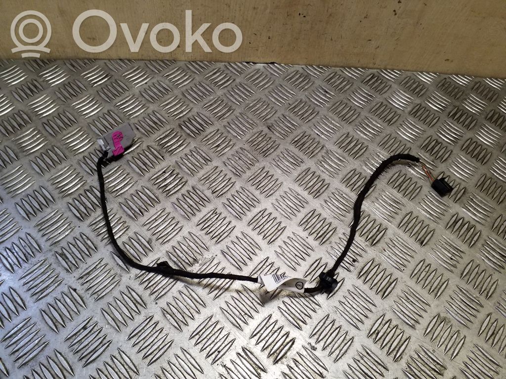 Volkswagen PASSAT B7 Cableado de puerta delantera