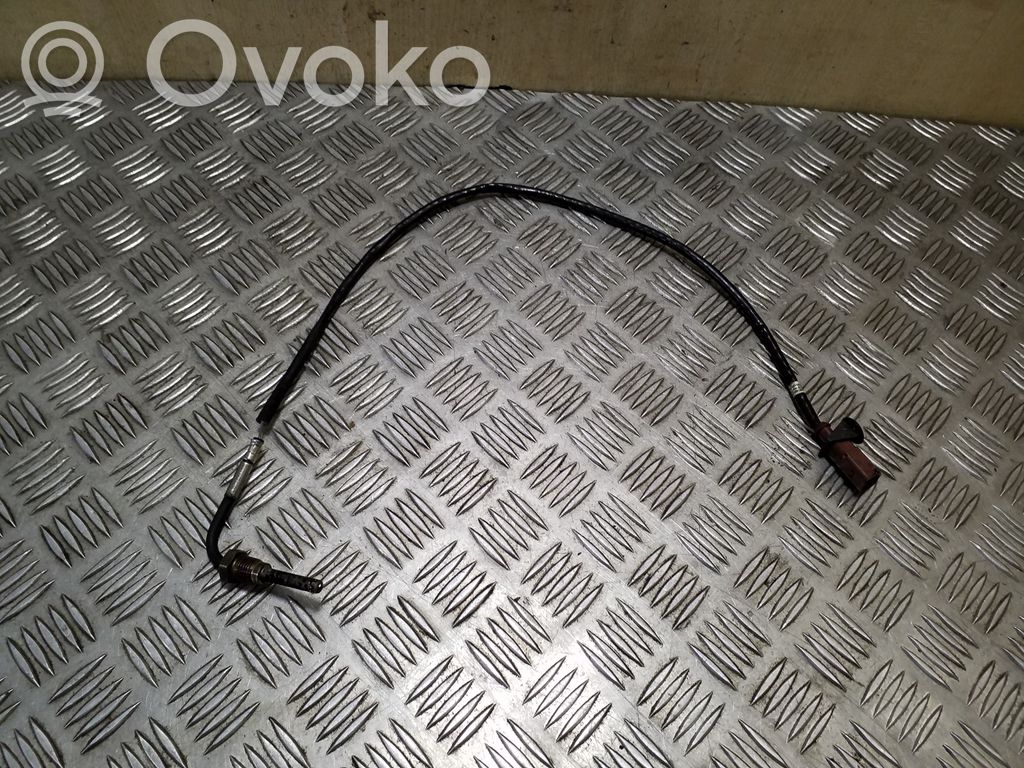 Volkswagen Tiguan Išmetamųjų dujų temperatūros daviklis 