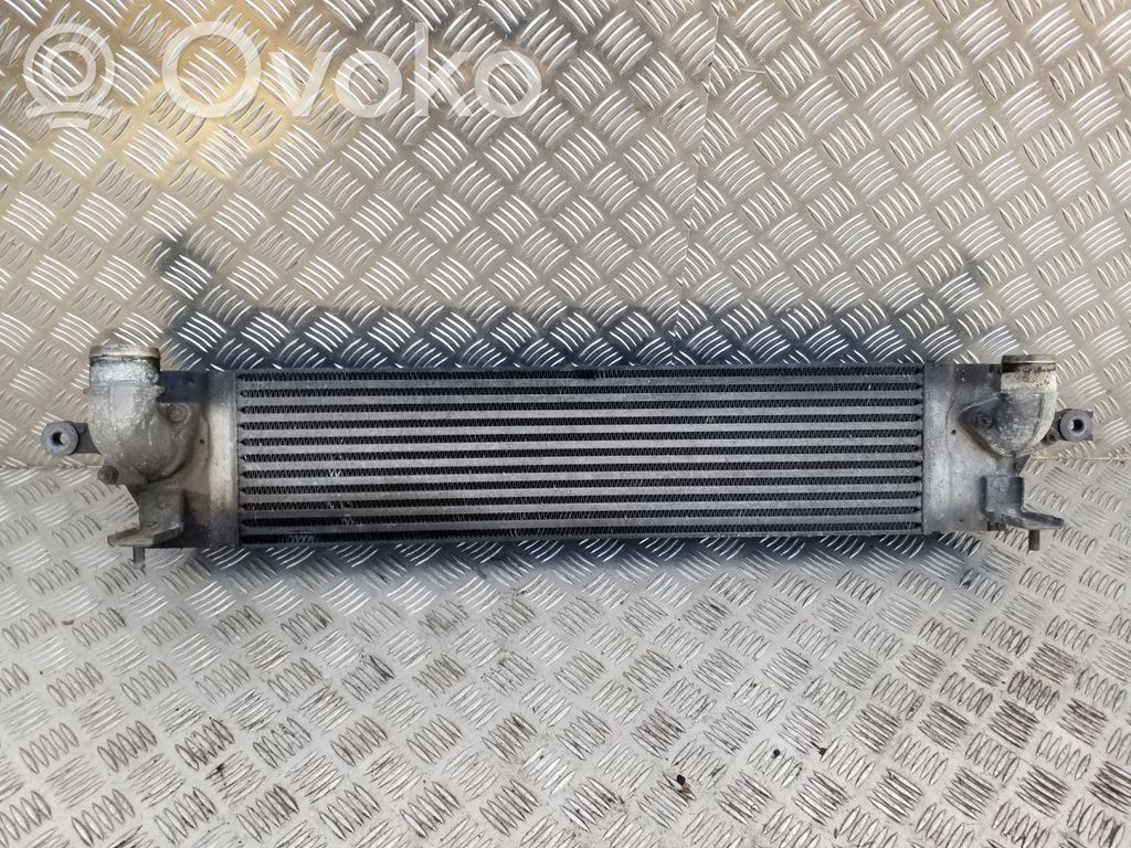 Nissan X-Trail T31 Interkūlerio žarna (-os)/ vamzdelis (-iai) 