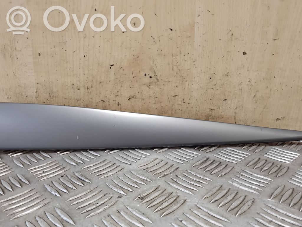 Panel trim   51458245985