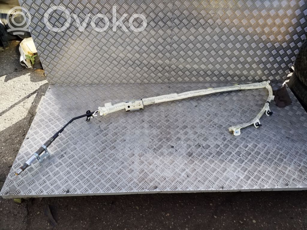 Land Rover Range Rover Sport L320 Airbag del techo