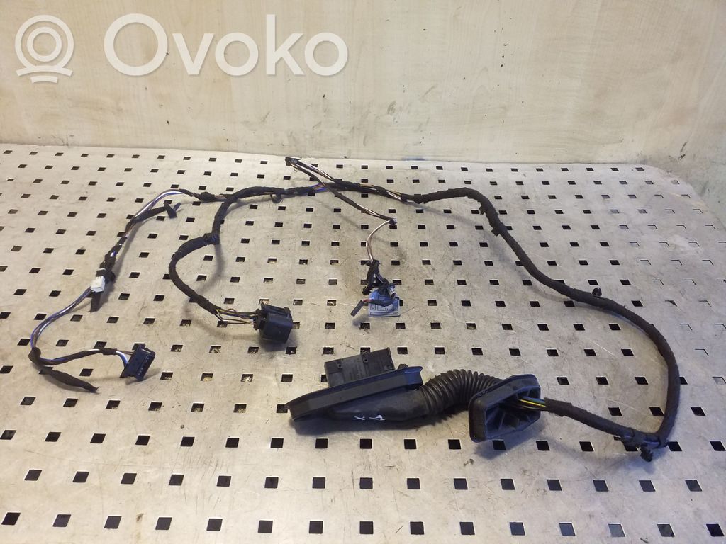 BMW X1 E84 Cableado de puerta trasera 