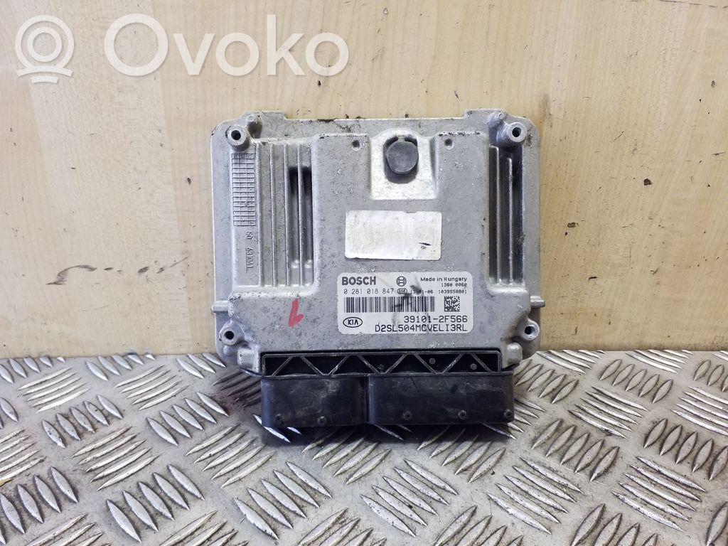 KIA Sportage Engine control unit/module 