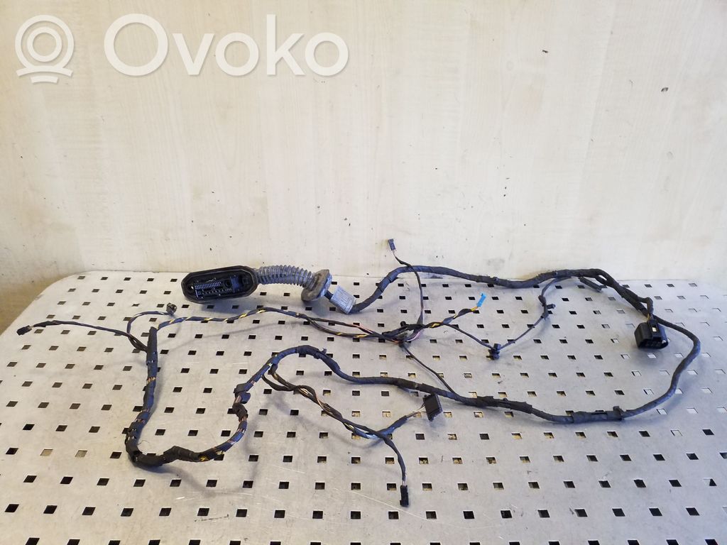 BMW 5 GT F07 Rear door wiring loom 
