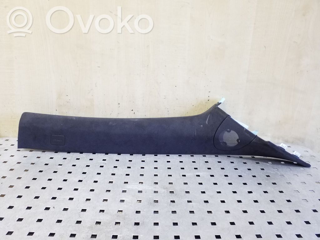 (A) pillar trim   100744002K
